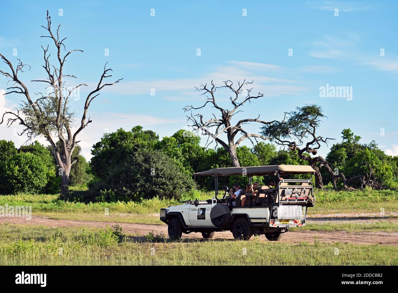 Ein Wildfahrzeug mit Touristen auf einer Safari-Stop für eine Pause, um Wildtiere entlang einer Schotterstraße im Chobe National Park, Botswana, Afrika zu beobachten Stockfoto