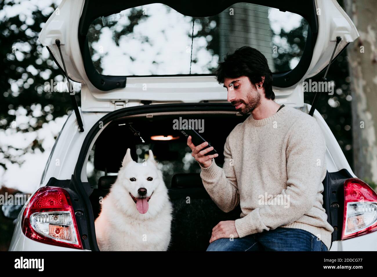 Mann mit mittlerem Erwachsenen, der im Auto sitzt und ein Mobiltelefon benutzt Stamm am Wald Stockfoto