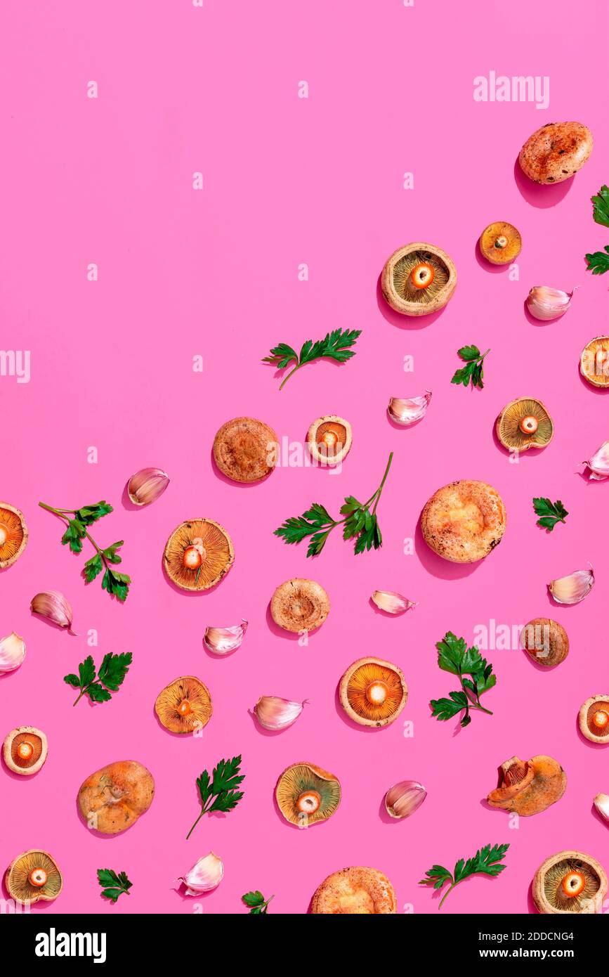 Muster aus Pilzen, Petersilie und Knoblauch auf rosa Hintergrund sortiert Stockfoto