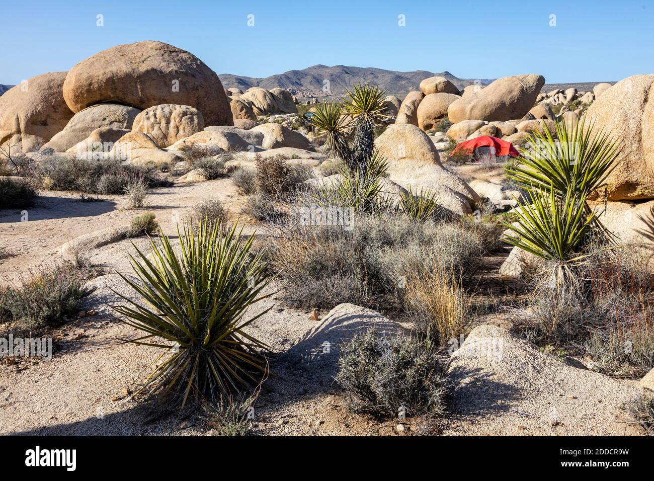 Campingplatz mit rotem Zelt am White Tank Campingplatz in der Nähe von Arch Rock Stockfoto