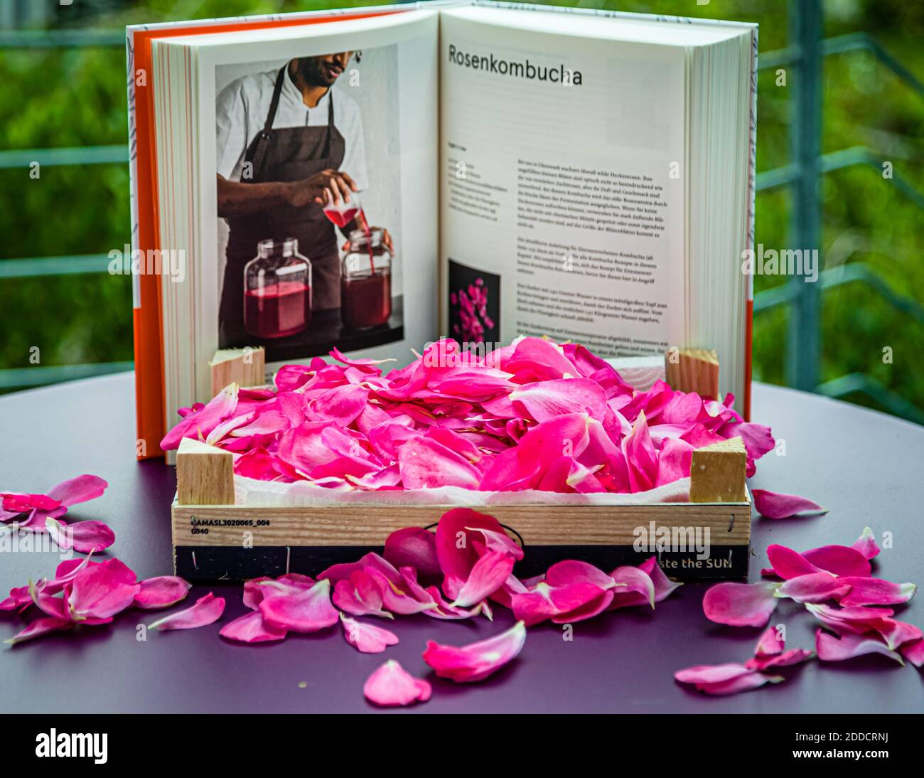 Ein offenes Rezeptbuch, das das Kapitel „Rosenkombucha“ (Rose Kombucha) zeigt, steht hinter einer Holzkiste gefüllt mit Rosenblättern auf einem Tisch in Grevenbroich, Deutschland. Stockfoto