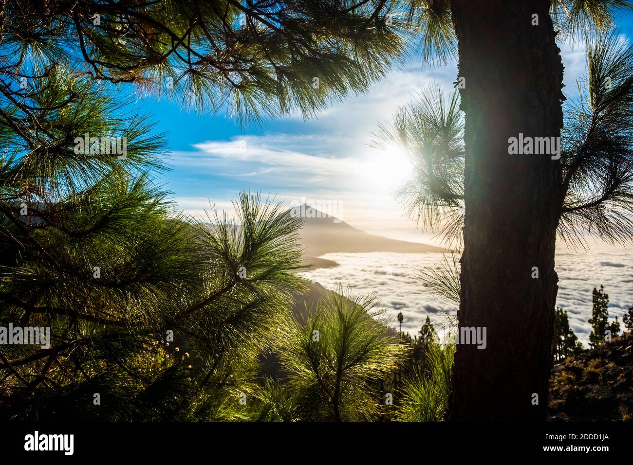 Atemberaubende Sonnenaufgangsansicht über Wolkenlandschaft und Berge im El Teide Nationalpark, Teneriffa, Spanien Stockfoto