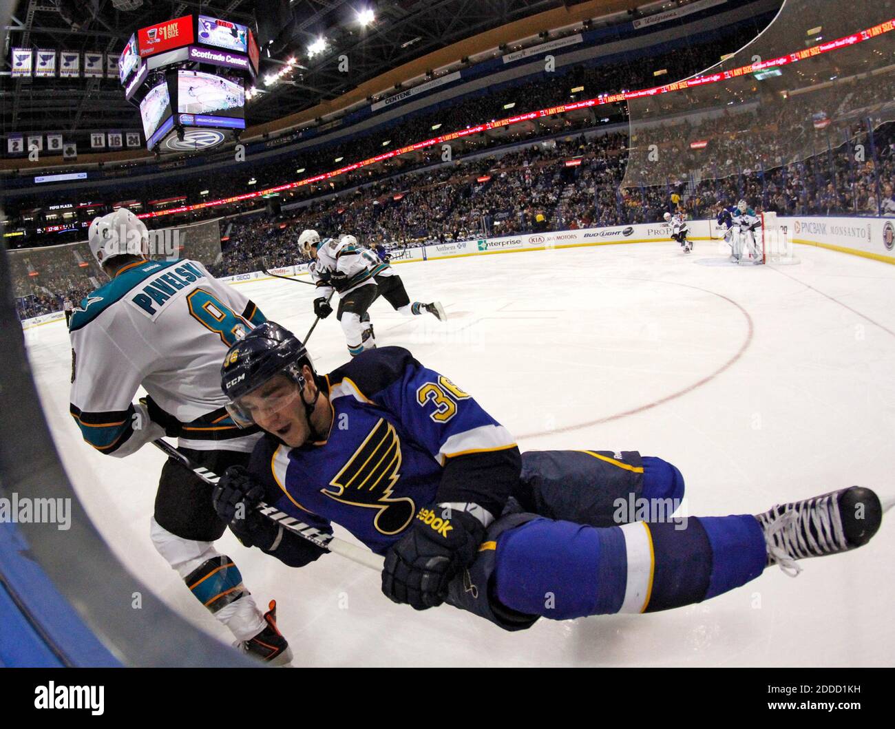 KEIN FILM, KEIN VIDEO, KEIN Fernsehen, KEIN DOKUMENTARFILM - Matt D'Agostini von St. Louis Blues wird am 12. März 2013 vom San Jose Sharks' Joe Pavelski (8) in der dritten Periode im Scottrade Center in St. Louis, MO, USA, auf die Tafeln genommen. St. Louis Won, 4:2. Foto von Chris Lee/St. Louis Post-Dispatch/MCT/ABACAPRESS.COM Stockfoto