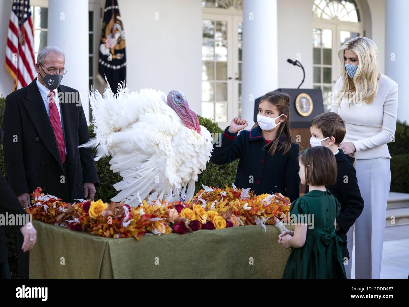 Washington, Usa. November 2020. Ivanka Trump, die Tochter von Präsident Donald Trump, und ihr Mann Jarred Kushner begrüßen gemeinsam mit ihren Kindern und anderen Gästen Corn, die nationale Thanksgiving-Türkei, nachdem Präsident Trump den Vogel am Dienstag, den 24. November 2020, im Rosengarten im Weißen Haus begnadigt hatte. Foto von Kevin Dietsch/UPI Kredit: UPI/Alamy Live News Stockfoto