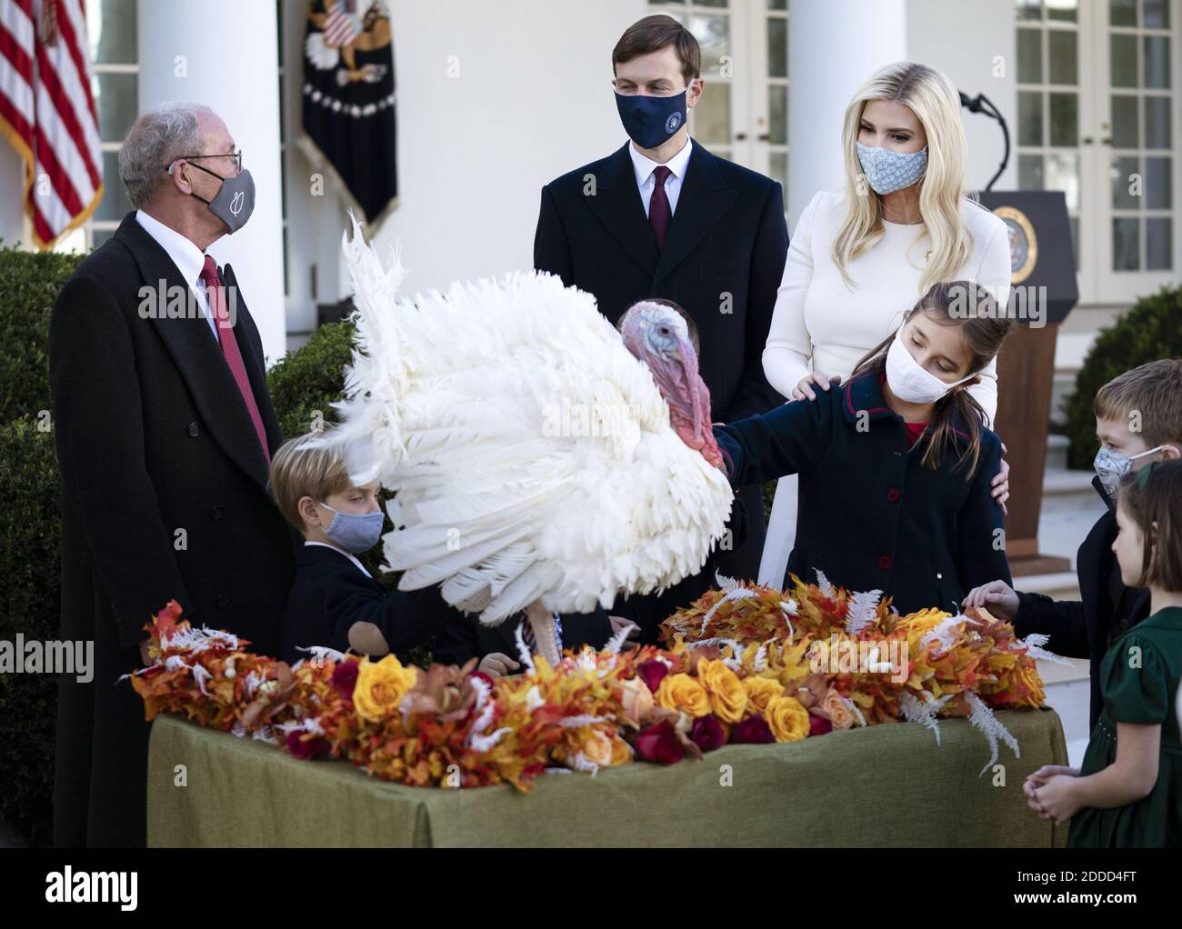 Washington, Usa. November 2020. Ivanka Trump, die Tochter von Präsident Donald Trump, und ihr Mann Jarred Kushner begrüßen gemeinsam mit ihren Kindern und anderen Gästen Corn, die nationale Thanksgiving-Türkei, nachdem Präsident Trump den Vogel am Dienstag, den 24. November 2020, im Rosengarten im Weißen Haus begnadigt hatte. Foto von Kevin Dietsch/UPI Kredit: UPI/Alamy Live News Stockfoto