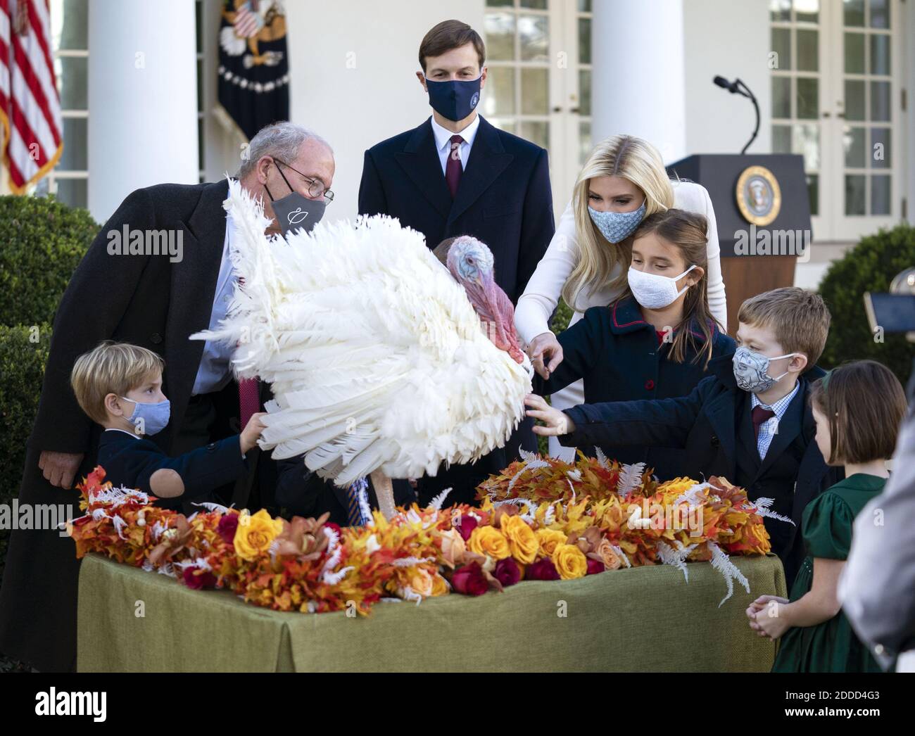 Washington, Usa. November 2020. Ivanka Trump, die Tochter von Präsident Donald Trump, und ihr Mann Jarred Kushner begrüßen gemeinsam mit ihren Kindern und anderen Gästen Corn, die nationale Thanksgiving-Türkei, nachdem Präsident Trump den Vogel am Dienstag, den 24. November 2020, im Rosengarten im Weißen Haus begnadigt hatte. Foto von Kevin Dietsch/UPI Kredit: UPI/Alamy Live News Stockfoto