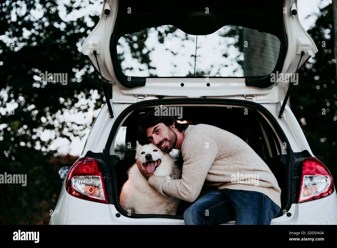 Mann umarmt Hund, während er im Kofferraum am Wald sitzt Stockfoto
