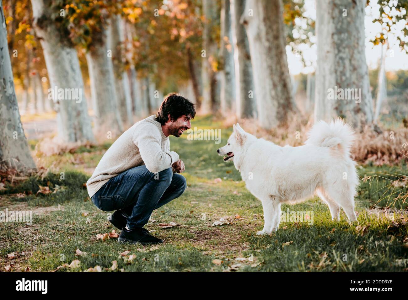 Mann im Gespräch mit Hund beim hocken im Wald Stockfoto