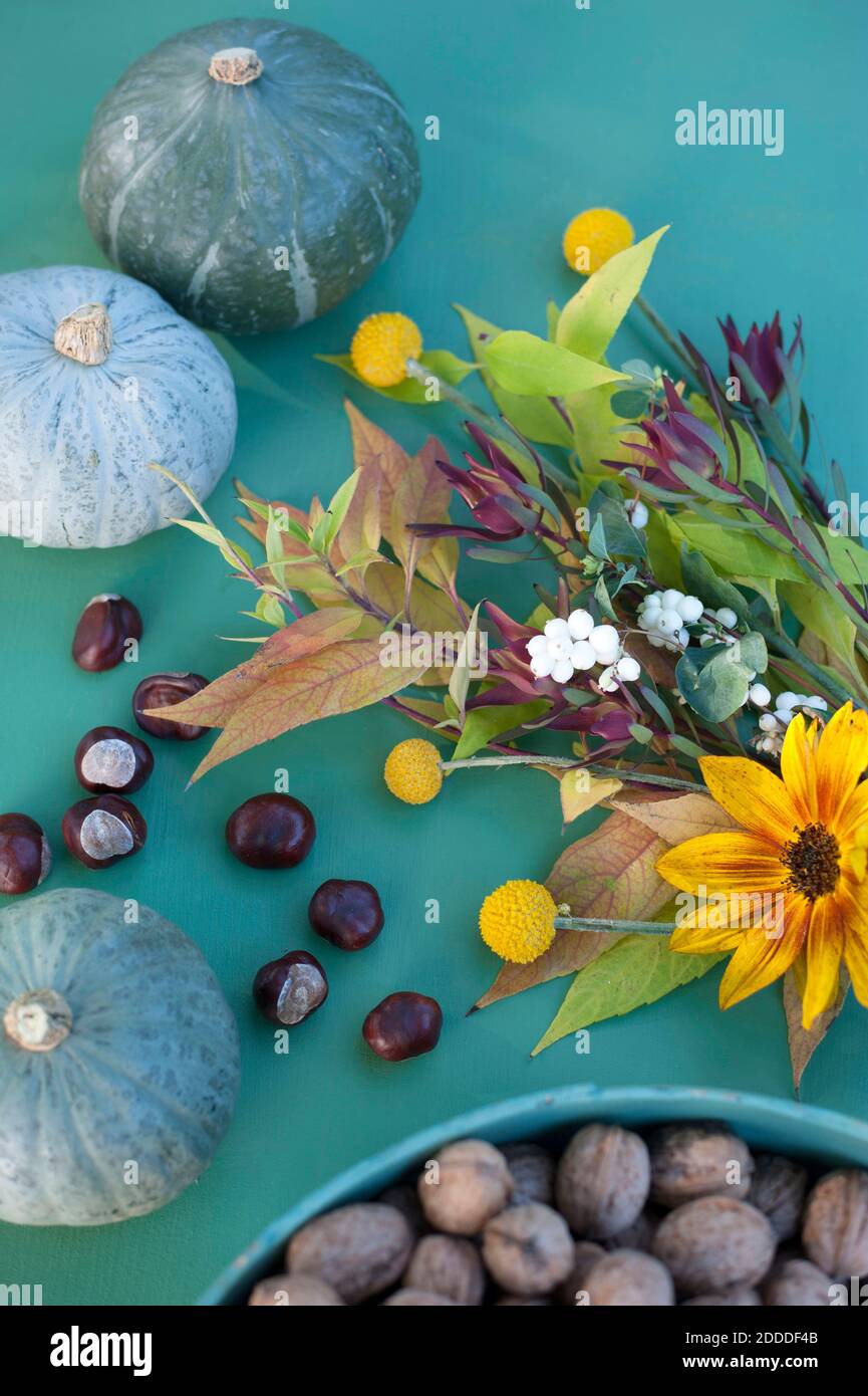Herbstflora mit Nüssen, Kürbissen und Blumen Stockfoto