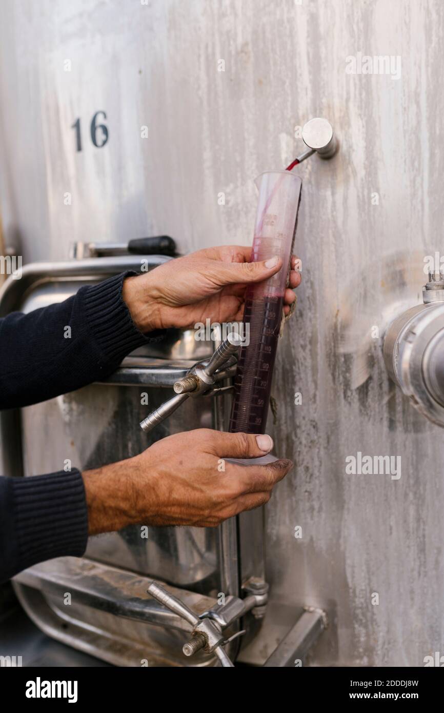 Hände des Winzers sammeln Rotwein für die Untersuchung der Temperatur bei Weinkeller Stockfoto