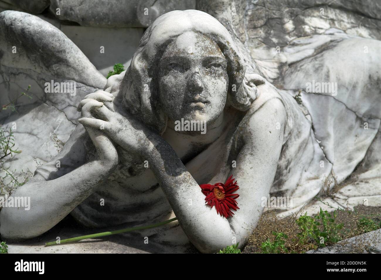 Roma, Rom, Italy, Italien; Cimitero del Verano; Campo Verano; Tombstone Skulptur - ein liegender Engel mit gefalteten Händen und Blick in den Himmel. Stockfoto