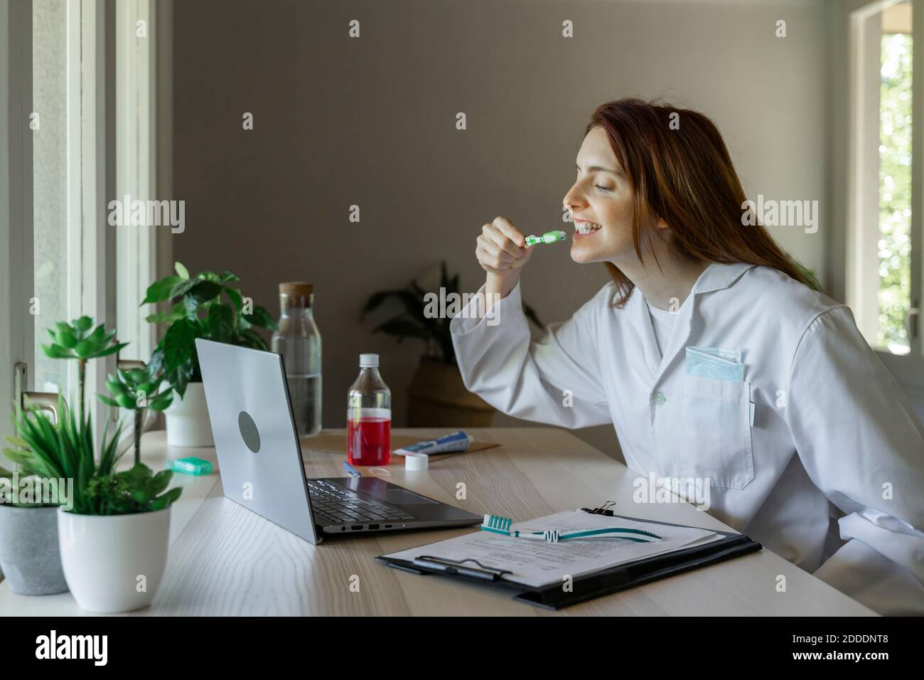 Junge weibliche Zahnärztin lehrt, wie man Zähne putzen durch Video Rufen Sie zu Hause auf dem Laptop an Stockfoto