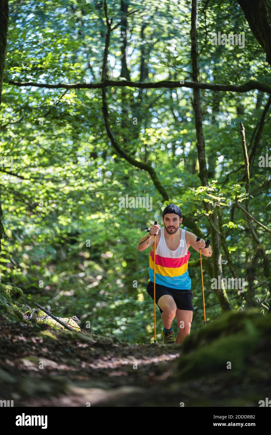Mann mit Wanderstock Wandern auf Bergweg am Wald Stockfoto