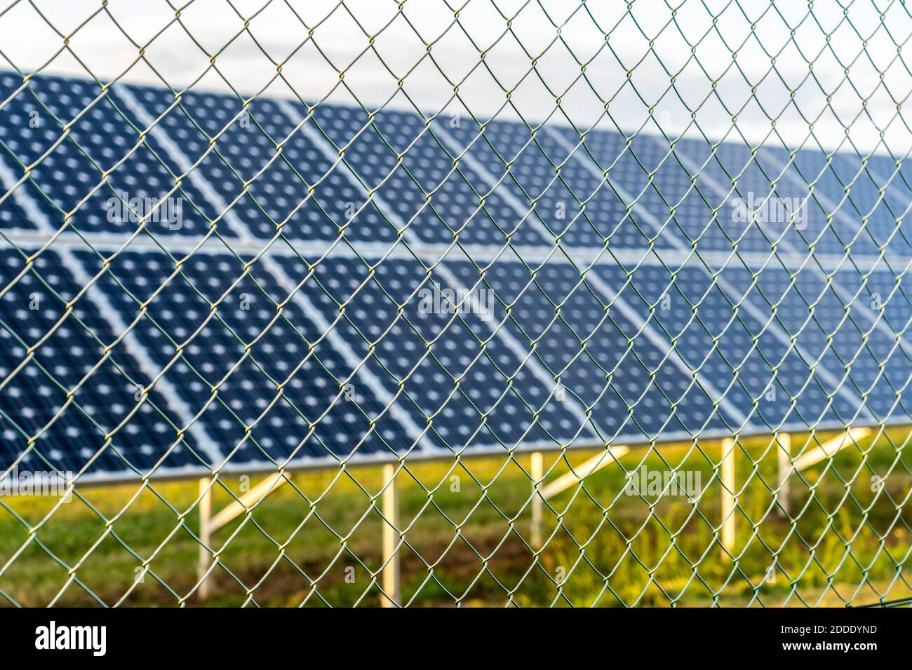 Solarpark mit Photovoltaikanlagen hinter dem Zaun, alternative Stromquelle Stockfoto