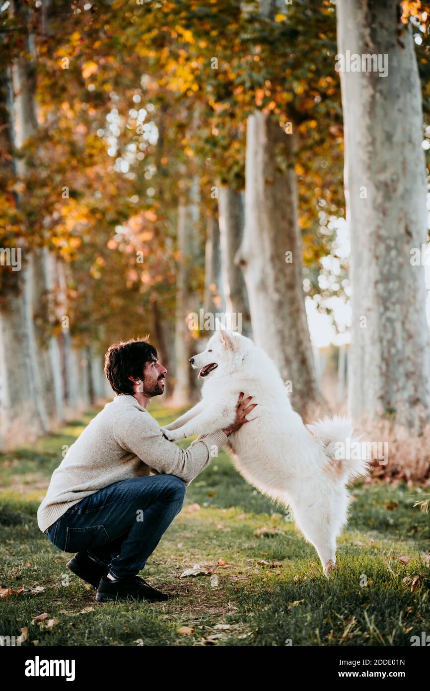 Mann, der mit Hund spielt, während er im Wald hockend Stockfoto