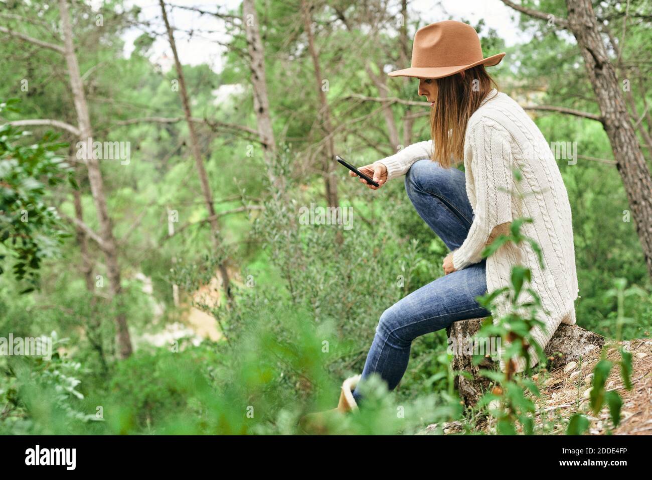 Frau mit Smartphone während sitzen inmitten von Grünpflanzen und Bäume im Wald Stockfoto