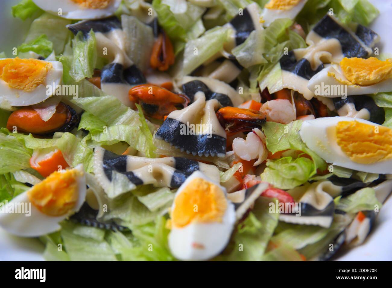 Nahaufnahme einer gemischten Salatplatte mit italienischer Pasta, Meeresfrüchten Krawatten, gekochten Eiern und etwas Gemüse Stockfoto