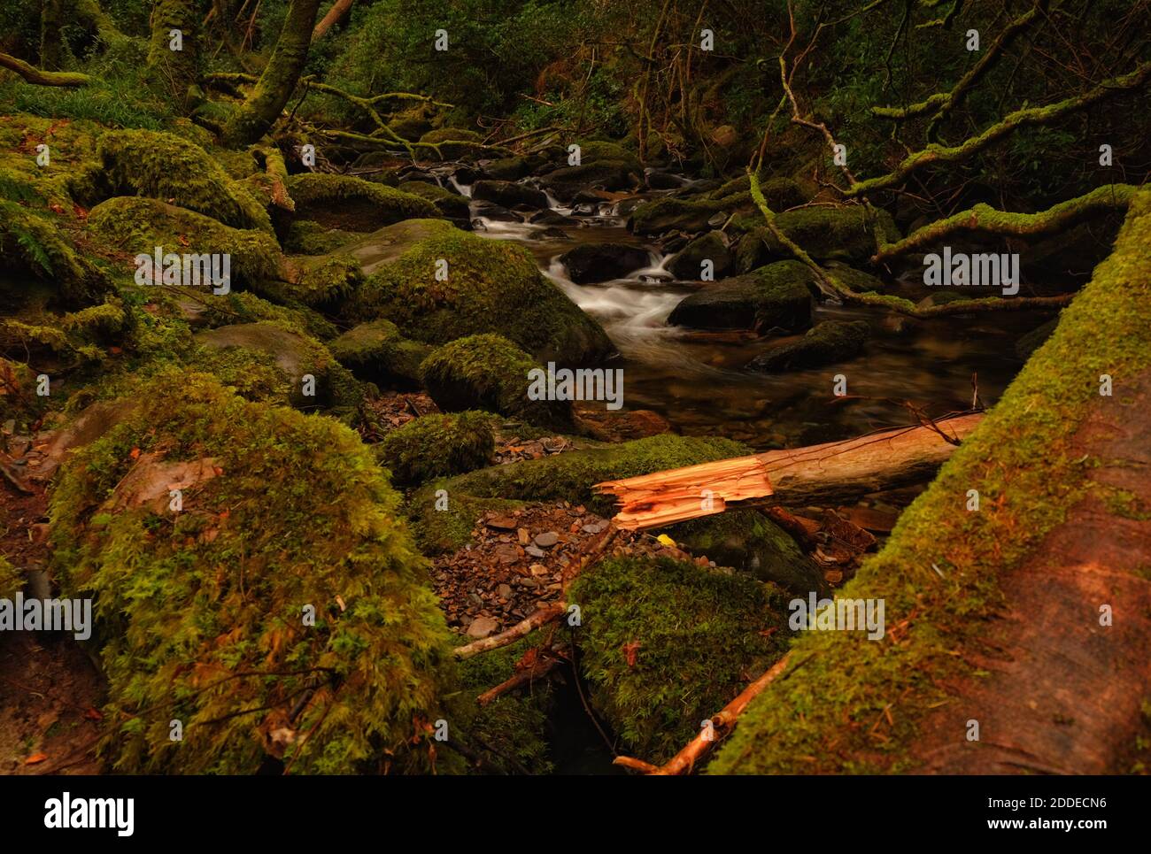 Malerischer Bergfluss in den Kerry Mountains Stockfoto