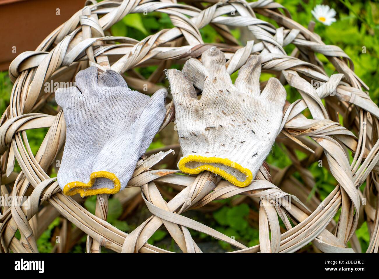 Ein Paar gebrauchte Arbeitshandschuhe, die auf einem Weidenkorb im Garten liegen, Nahaufnahme. Stockfoto