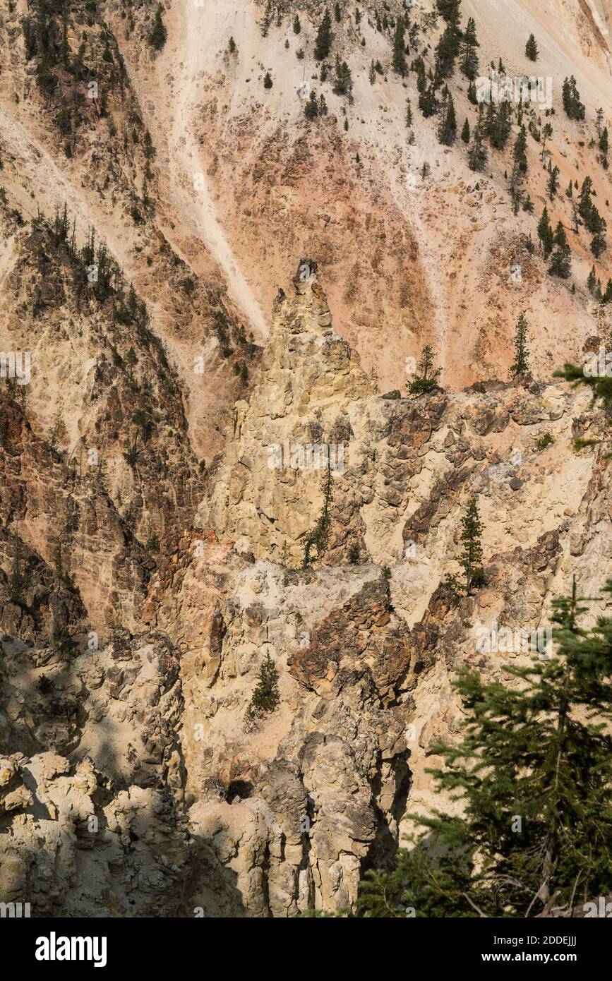 Der farbenfrohe Grand Canyon des Yellowstone im Yellowstone National Park, Wyoming, USA. Stockfoto