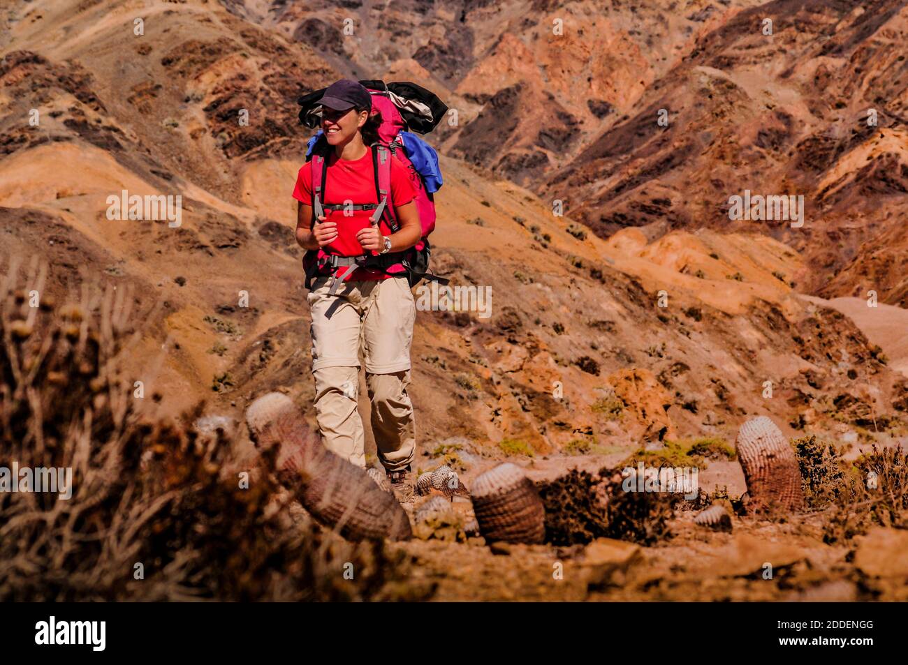 Junge Backpacker Mädchen an einem sonnigen Tag in Chile zu Fuß Atacama Wüste Stockfoto