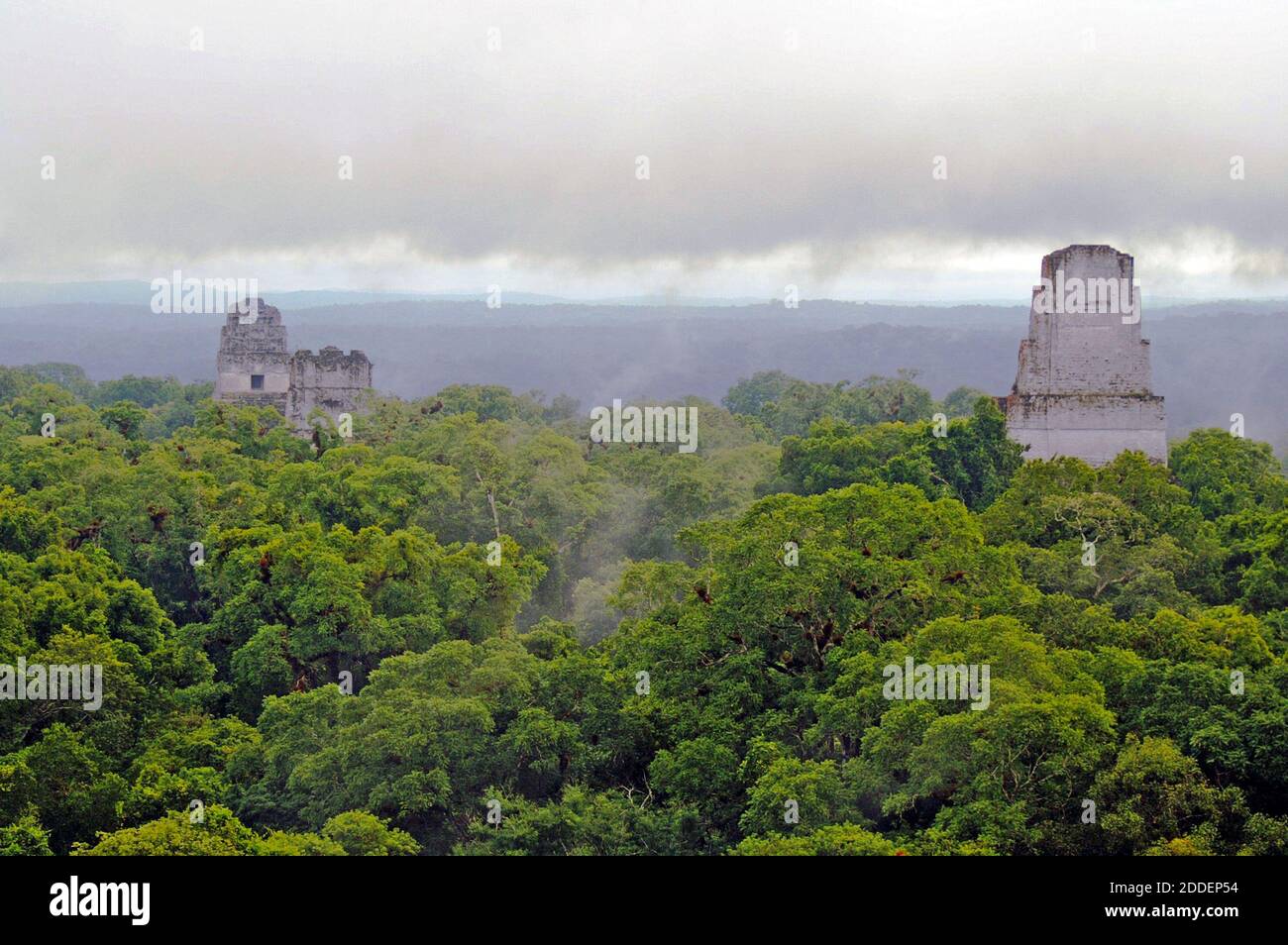 Maya-Pyramiden ragen aus dem guatemaltekischen Regenwald im Guatemala-Tikal-Nationalpark, dem ersten geschützten Gebiet Guatemalas. Die Ruinen von Tikal im Peten-Becken wurden Ende des 10. Jahrhunderts aufgegeben, wurde 1979 zum UNESCO-Weltkulturerbe ernannt und ist heute eine bedeutende archäologische Stätte, die Touristen aus der ganzen Welt anzieht. Drei der fünf großen Tempel durchbohren die Walddecke mit dem berühmtesten, Tempel 1, auch bekannt als der Tempel des Großen Jaguar, kann in der Ferne mit seinem Dachkamm gesehen werden, ein eindeutiges Element der Maya-Architektur. Die Aussicht ist von oben Tempel 4. Stockfoto