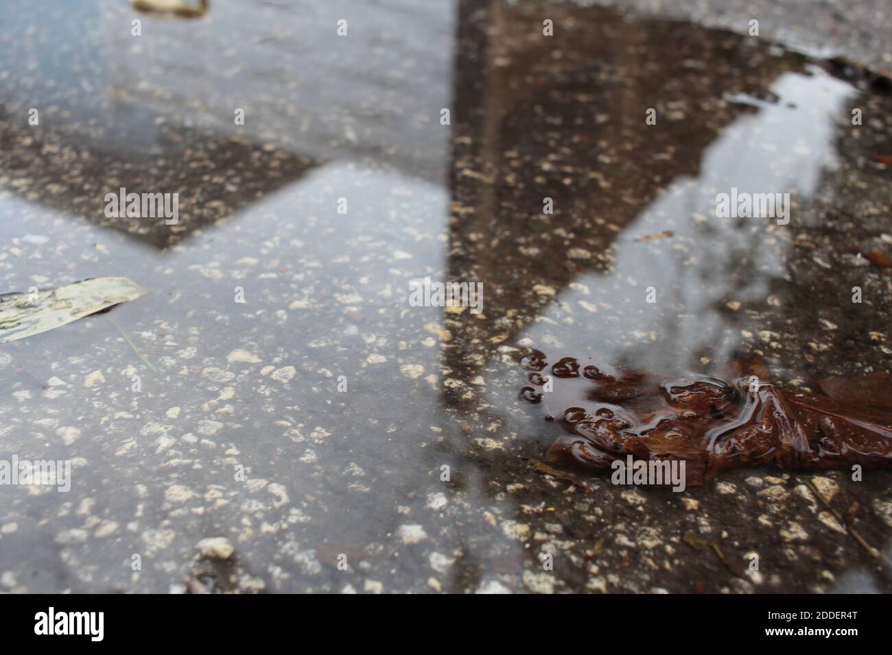 Reflexion in einer Pfütze Stockfoto