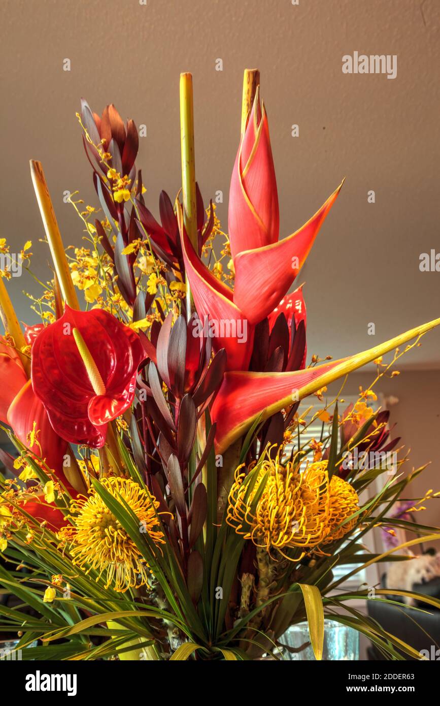 Tropischer Blumenstrauß mit Heliconia bihai, gelben Oncidium-Orchideen, gelbem Nadelkissen-protea und roten Anthurien. Stockfoto