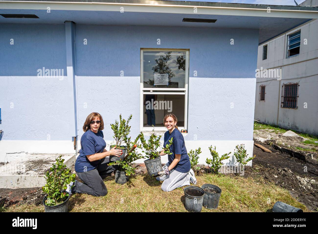 Miami Florida, Overtown Habitat for Humanity, Freiwillige beim Bau eines neuen Hauses mit niedrigem Einkommen in der Innenstadt, beim Landschaftsbau von Sträuchern, Bäumen Hispani Stockfoto