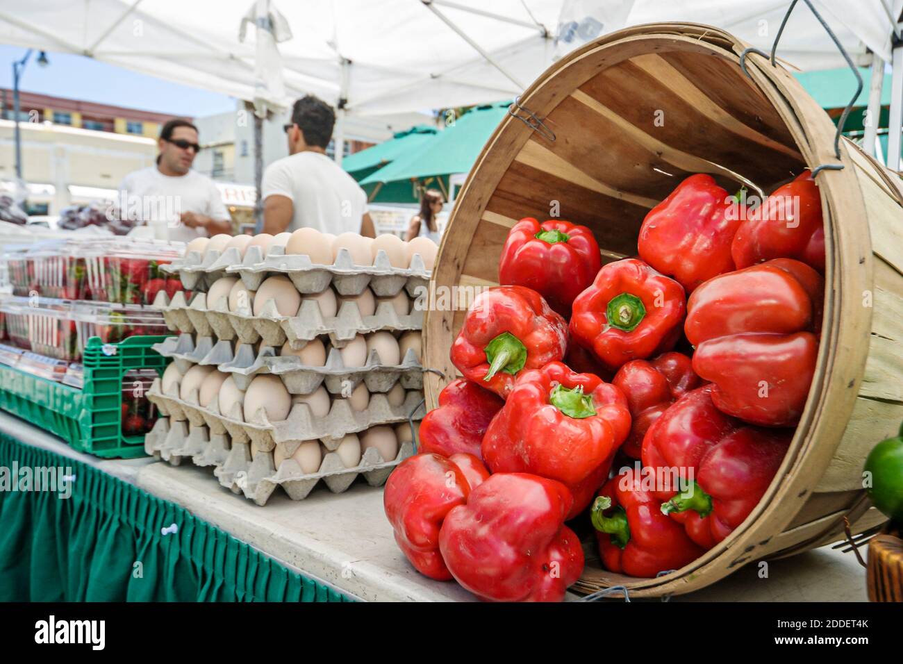 Miami Beach Florida, Normandy Village Marketplace Bauernmarkt, Gemüse-Display-Verkauf rote Paprika, Verkäufer Stallstände Stand Eier, Stockfoto