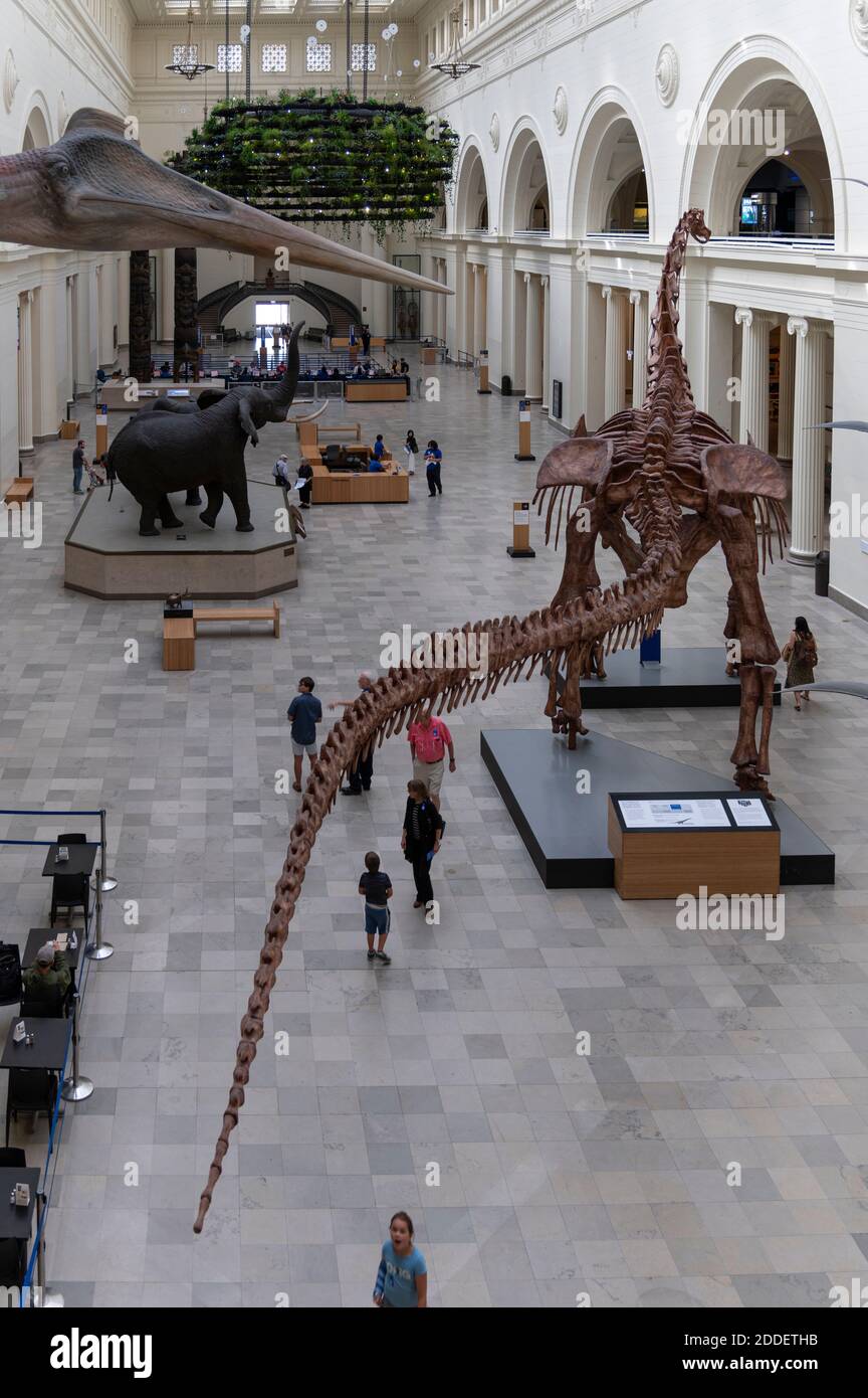 Die Stanley Field Hall im Field Museum in Chicago Stockfoto