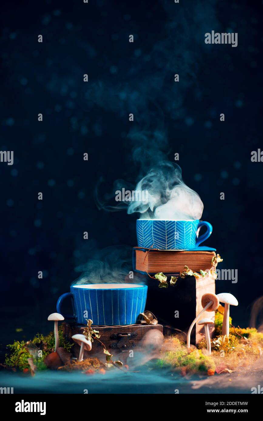 Magischer Trank in Keramikbechern mit aufsteigendem Dampf und Pilzen Stockfoto