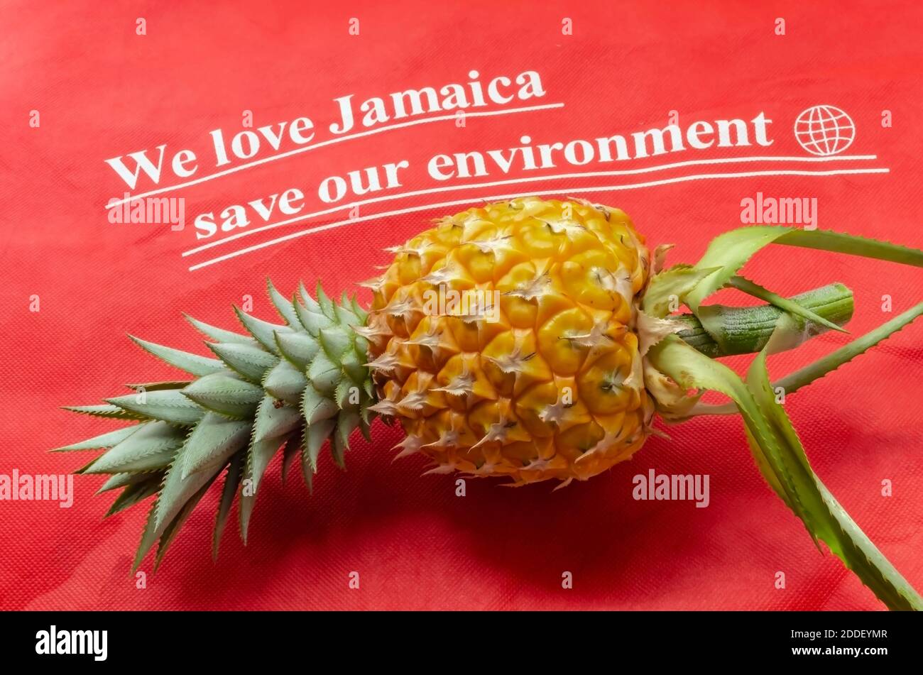 Eine whol gelb reife Ananas mit seinem Stamm ist auf einem roten strukturierten Nylon-Hintergrund mit "Wir lieben Jamaika speichern Sie die Umwelt" gedruckt. Stockfoto