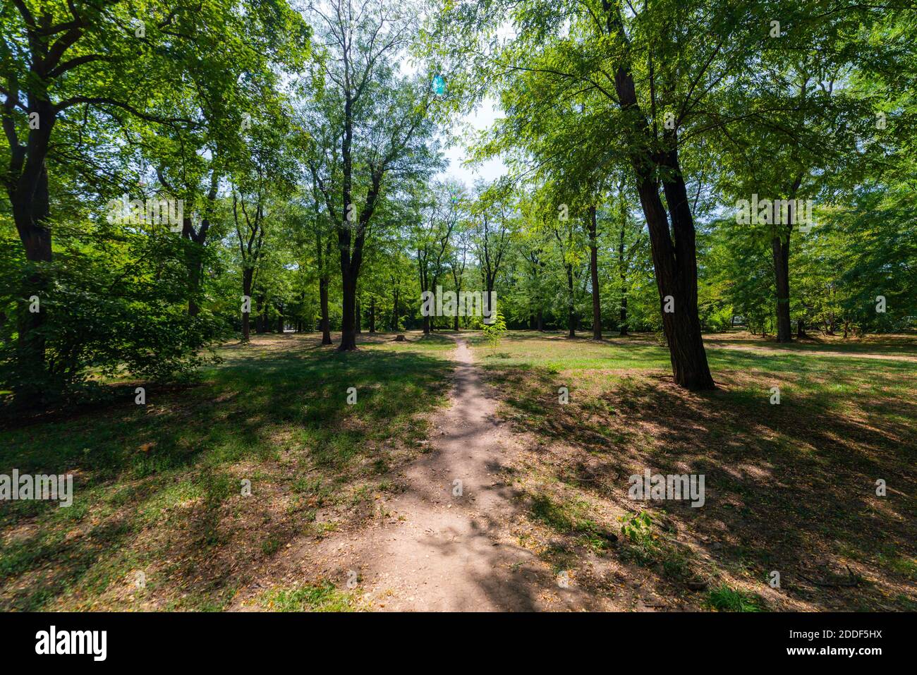 Park Waldboden trail natürliche Outdoor Weg zum Wandern und die Promenade. Stockfoto