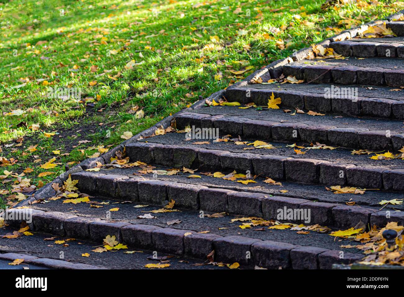 Steintreppe mit Stufen bedeckt mit gefallener verlassen in der Stadt parken Stockfoto