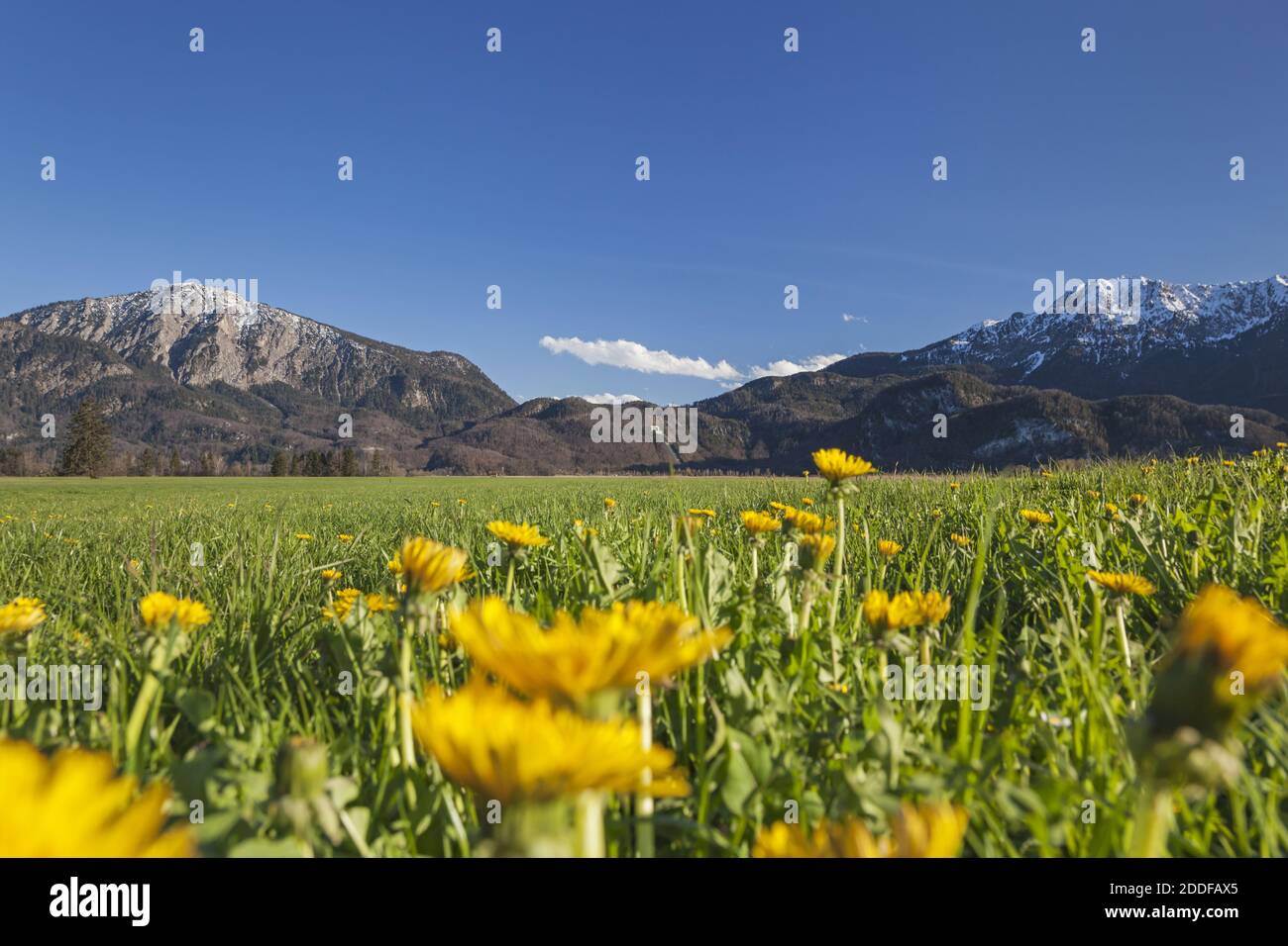 Geographie / Reisen, Deutschland, Bayern, Schlehdorf, Jochberg (Peak) und Herzogstand (Peak) im Frühjahr, Additional-Rights-Clearance-Info-Not-available Stockfoto