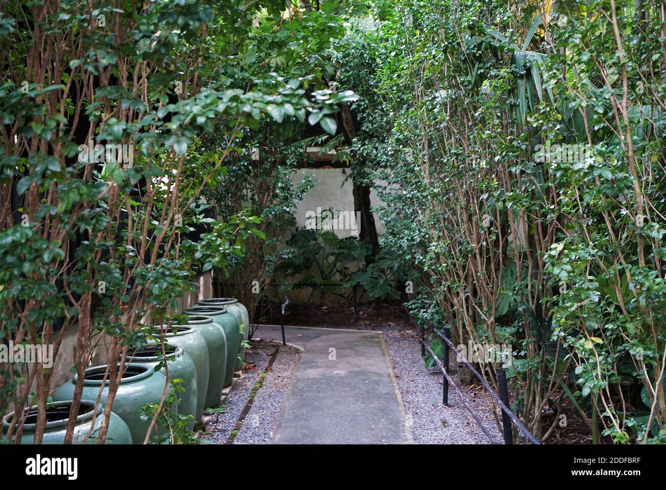 Thai-Stil grün glasierte Steingut Wassergläser durch den Weg Stockfoto