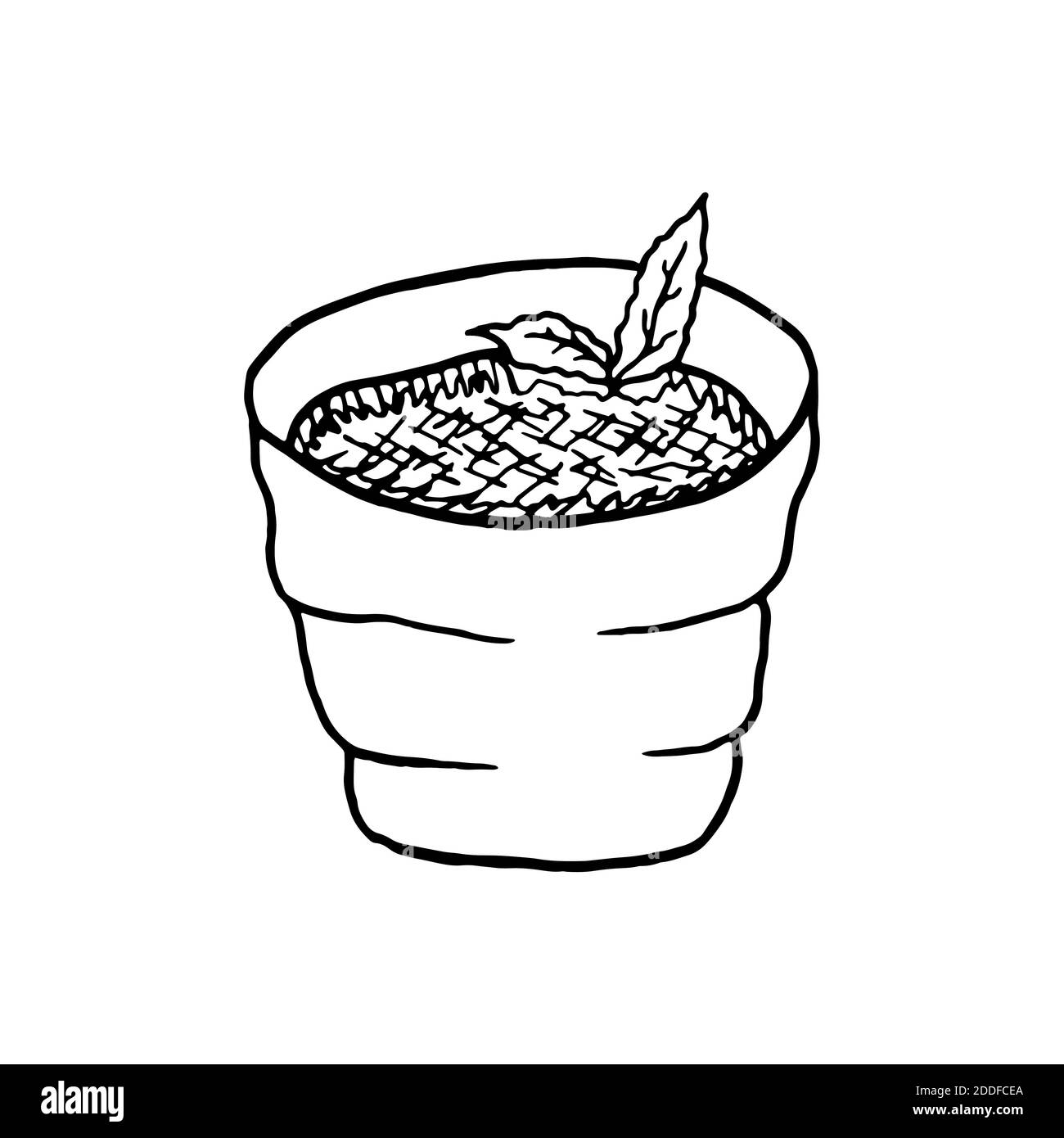 Vektor handgezeichnete Creme Brulee. Dessert der französischen Küche. Design Skizzenelement für Menü Café, Bistro, Restaurant, Bäckerei, Etikett und Verpackung. Illustra Stock Vektor