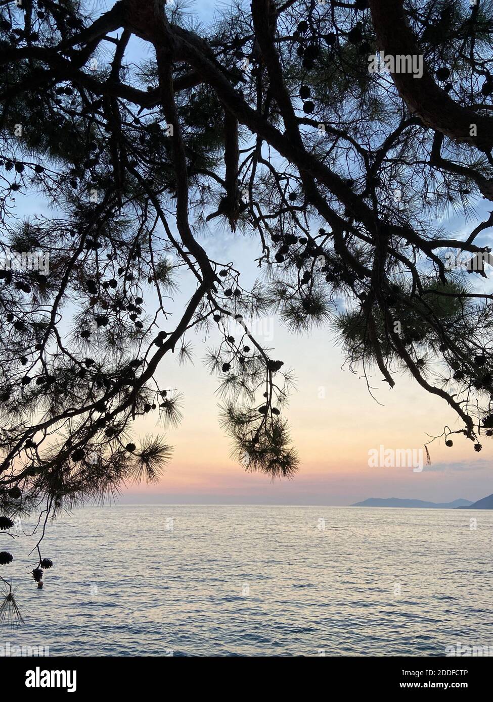 Schöner romantischer Sonnenuntergang auf der Ägäis mit Pinien und Hügeln am Horizont. Reflexionen der Morgendämmerung über dem Meer. Dramatische Farben des Himmels. Stockfoto