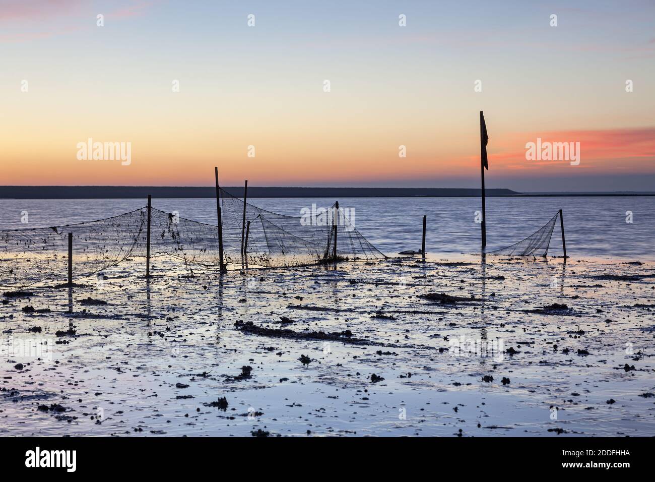 Geographie / Reisen, Deutschland, Schleswig-Holstein, Insel Sylt, Fischernetz im Watt in der Morgendämmerung, Ra, Additional-Rights-Clearance-Info-Not-available Stockfoto