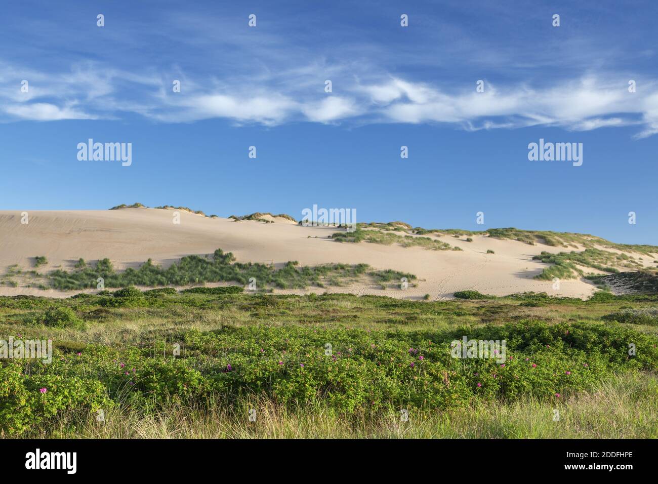 Liegeplatzbereich Stockfotos und -bilder Kaufen - Alamy