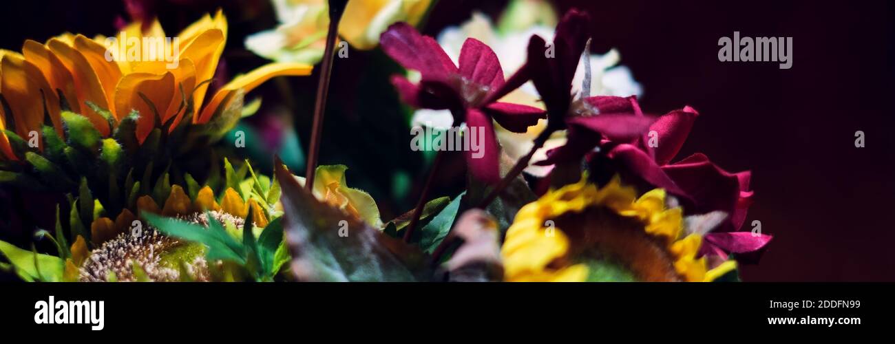 Schöne Blumenstrauß mit dunkelrotem Samt Hintergrund. Buntes Herbststillleben mit einem Blumenstrauß für einen Webseitenheader. Stockfoto