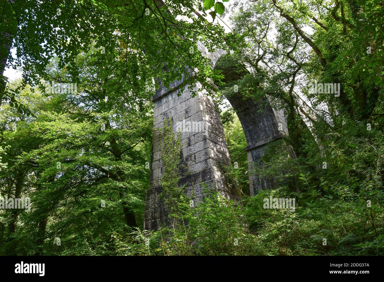 Teffry Viadukt, Luxulyan Valley 100920 Stockfoto