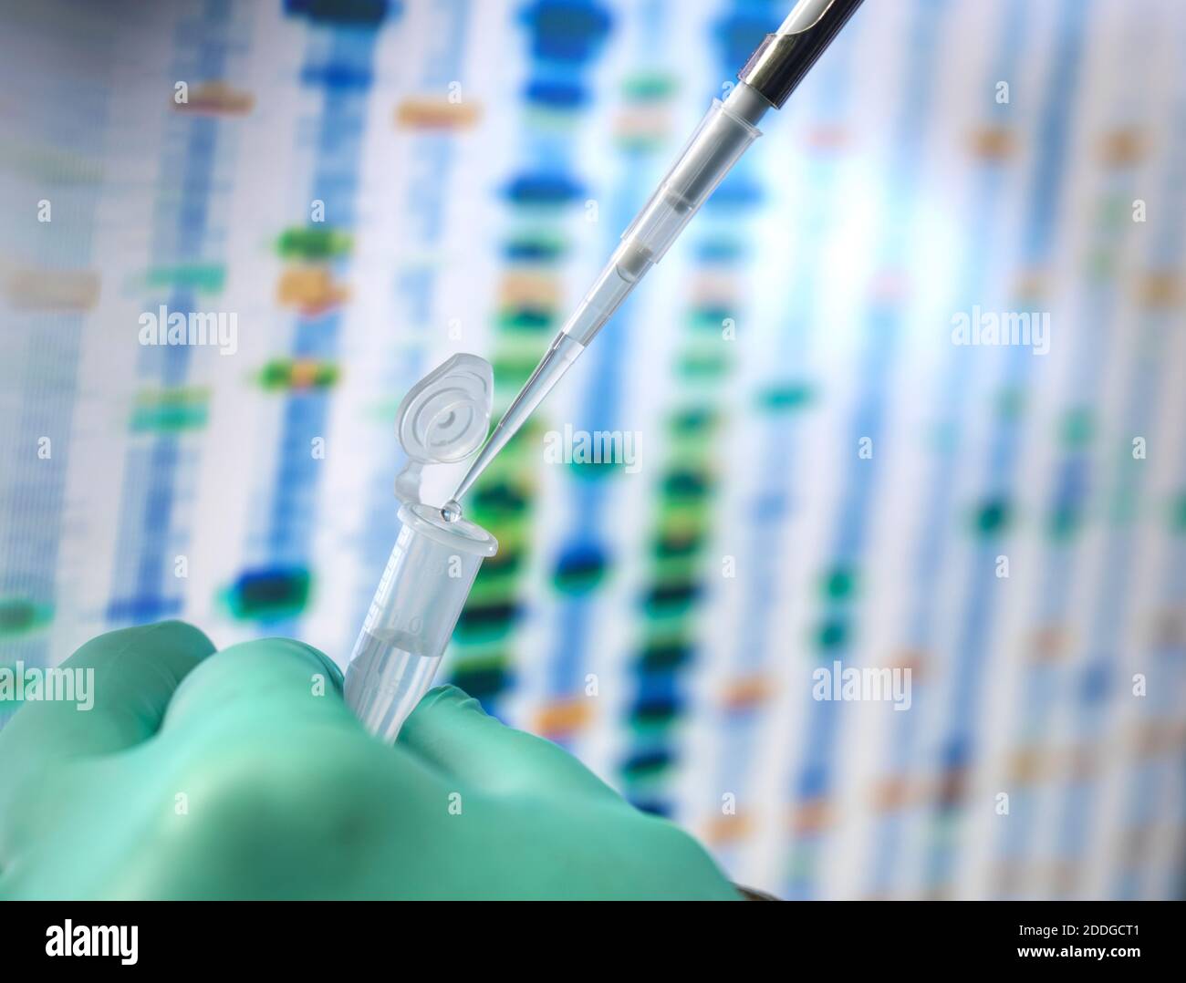 DNA Sciences, Wissenschaftler, die eine Probe in ein Fläschchen pipettieren, das für die automatisierte Analyse im Alterslabor bereit ist, wobei die DNA-Ergebnisse auf dem Bildschirm angezeigt werden Stockfoto