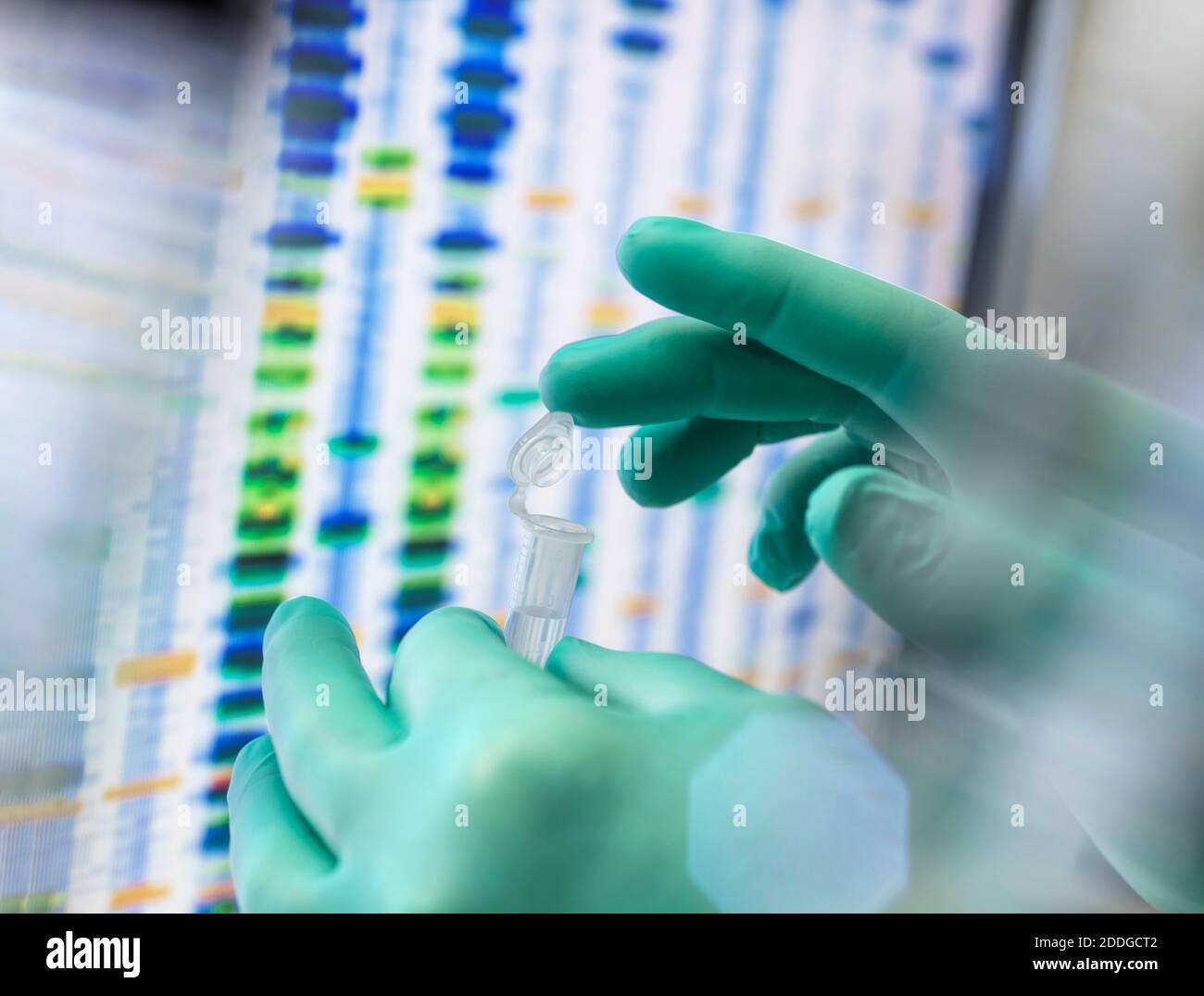 DNA Sciences, Wissenschaftler mit einer Probe in einem Fläschchen, bereit für die automatisierte Analyse im Alterslabor, wobei die DNA-Ergebnisse auf dem Bildschirm angezeigt werden Stockfoto