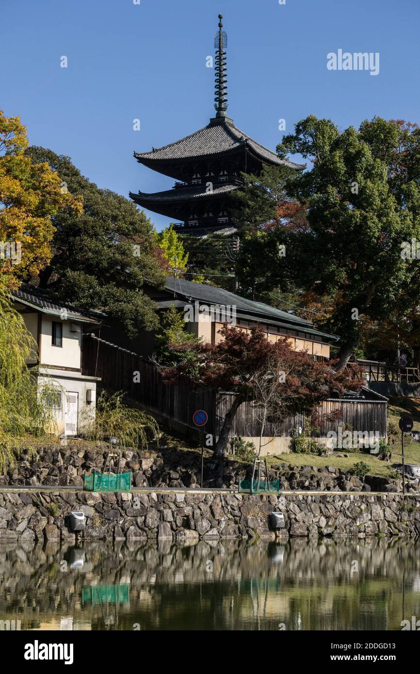 Die fünfstöckige Pagode des Kofuku-ji-Tempels in Nara, Japan, erhebt sich an einem sonnigen Tag über den Bäumen nahe dem Sarusawa-Teich im Zentrum der Stadt Stockfoto