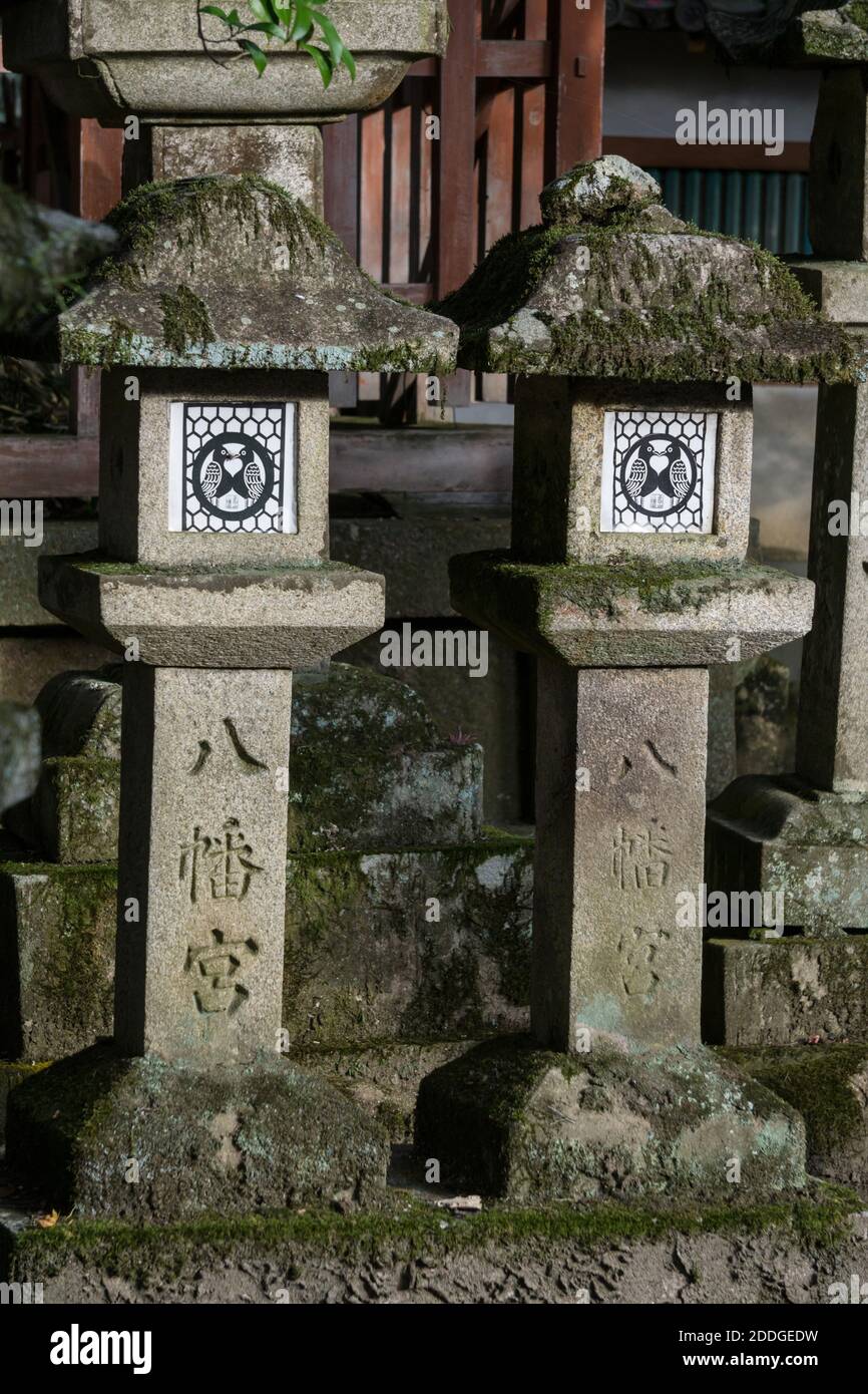 Alte Steinlaternen auf dem Gelände des Tamukeyama Hachimangu Shrine, Teil des Todai-ji Tempelbezirks in Nara, Japan Stockfoto