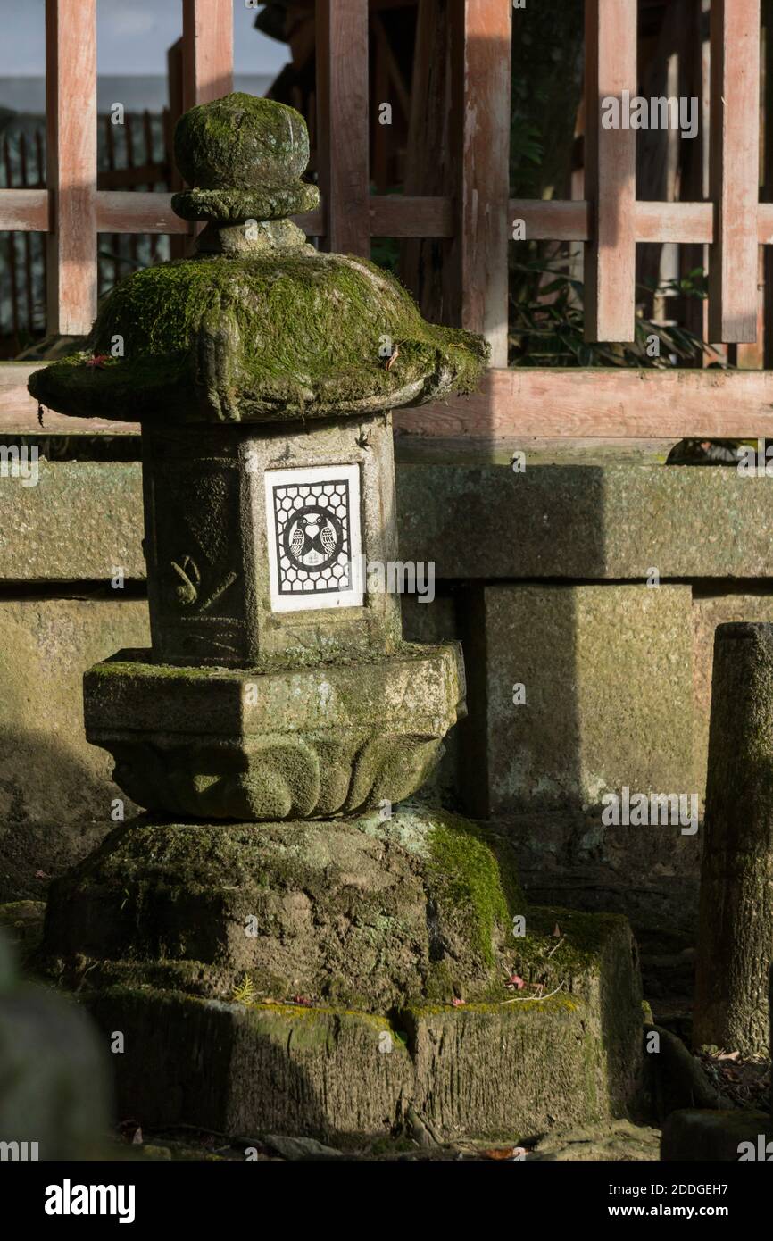 Alte Steinlaternen auf dem Gelände des Tamukeyama Hachimangu Shrine, Teil des Todai-ji Tempelbezirks in Nara, Japan Stockfoto