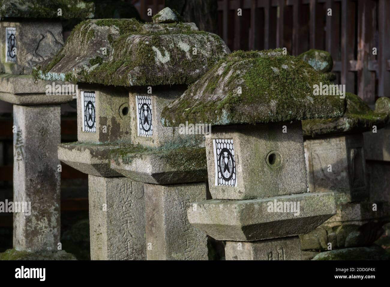 Alte Steinlaternen auf dem Gelände des Tamukeyama Hachimangu Shrine, Teil des Todai-ji Tempelbezirks in Nara, Japan Stockfoto