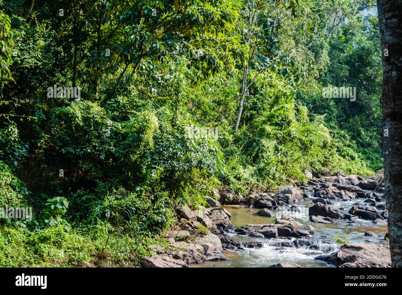 Schöne Elefantenfälle, die drei Stufen Wasserfällen, in Shillong, Meghalaya, East Khasi Hills, Indien Stockfoto